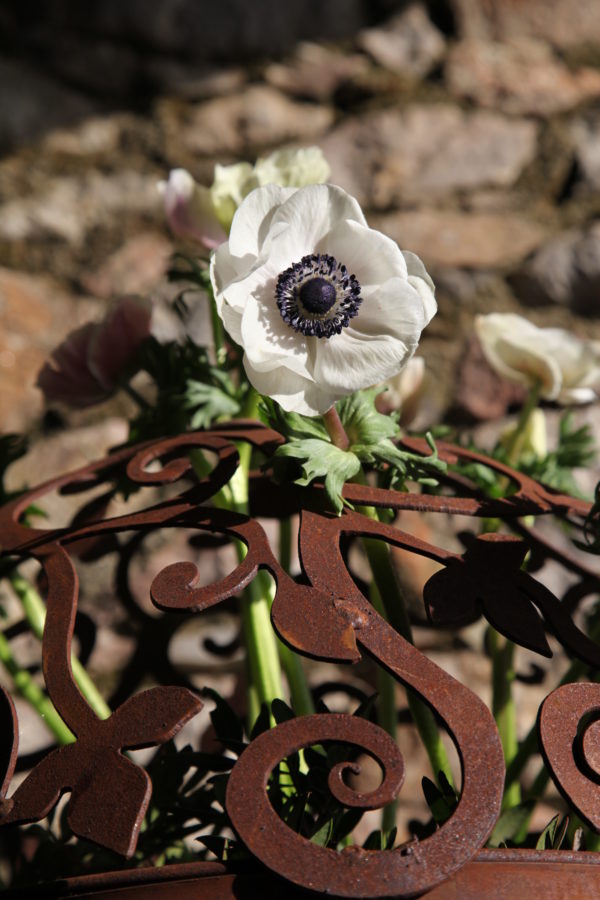 Barok halfrond met ring, roest design - Afbeelding 3